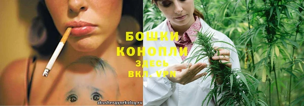 спайс Белокуриха