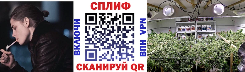 OMG ссылки  Тарко-Сале  Каннабис SATIVA & INDICA 